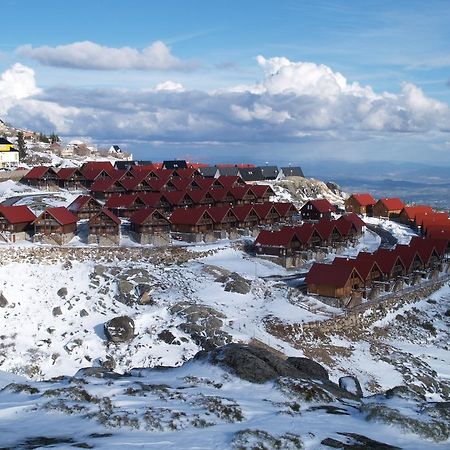 Luna Chalets Da Montanha - Serra Da Estrela Covilhã Eksteriør billede