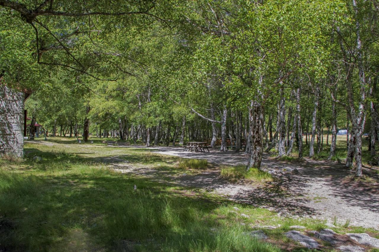 Luna Chalets Da Montanha - Serra Da Estrela Covilhã Eksteriør billede